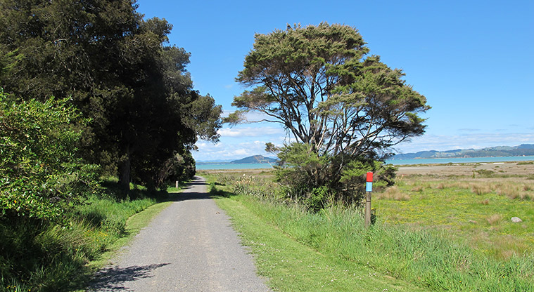 Duder Duck Bay Path - Follow the blue and red markers.
