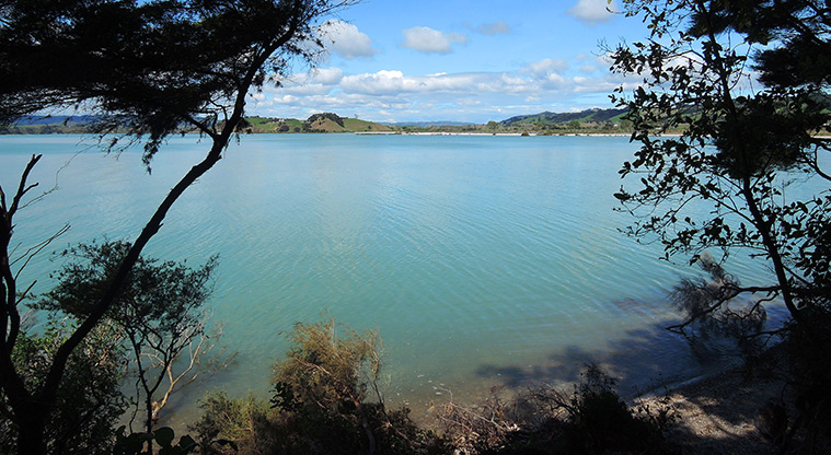 Duder Duck Bay Path - Idyllic views through the bush.