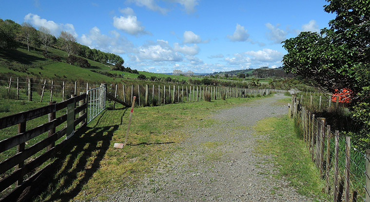 Duder Farm Path - Farm road through paddocks