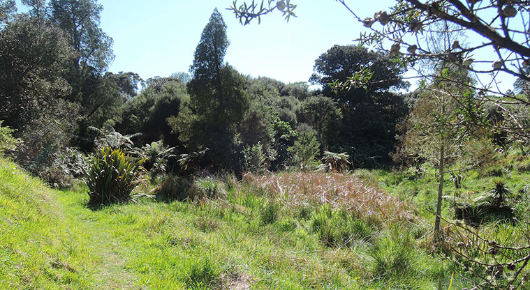 Duder Sustainable Path - Alongside wetland area