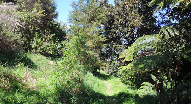 Duder Sustainable Path - Walking through small sections of bush