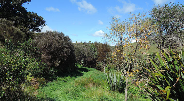 Duder Sustainable Path - Grass section of the path