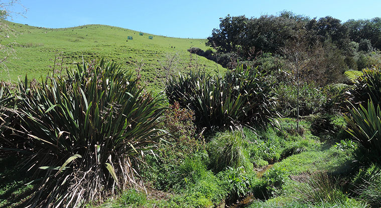 Duder Sustainable Path - Alongside stream.