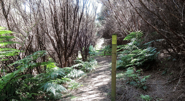 Duder Sustainable Path - Path marker pole