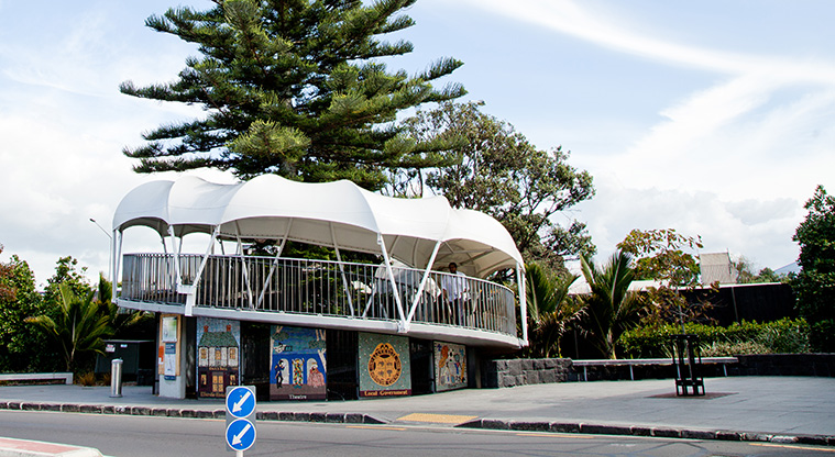 Ellerslie Town Centre Path - Path starts at Bridge of Memories, Ellerslie.