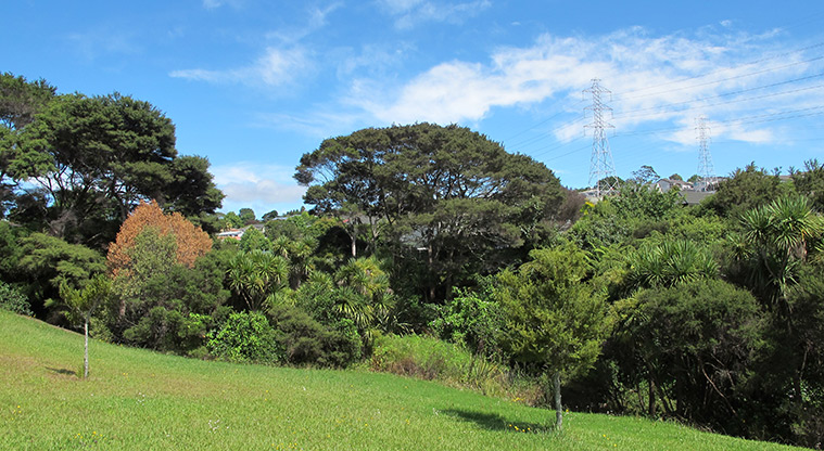Emerald Valley Path - Pleasant views over pocket of bush in the centre of the park