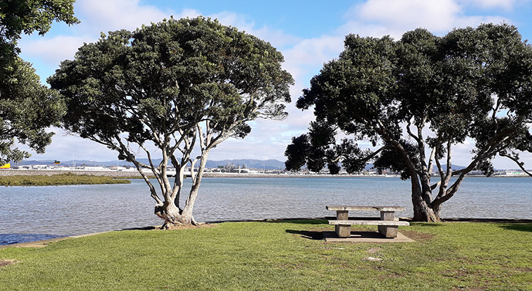 Eric Armishaw to Waterview Path - Picnic area and view of the Waitematā Harbour from Eric Armishaw Park.
