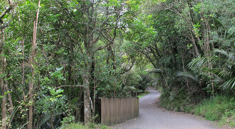 Exhibition Drive Track - Track is relatively flat.