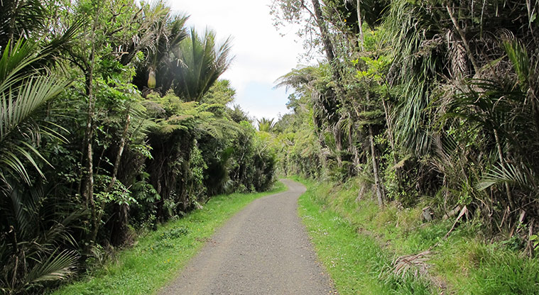 Exhibition Drive Track - Typical section of the track.