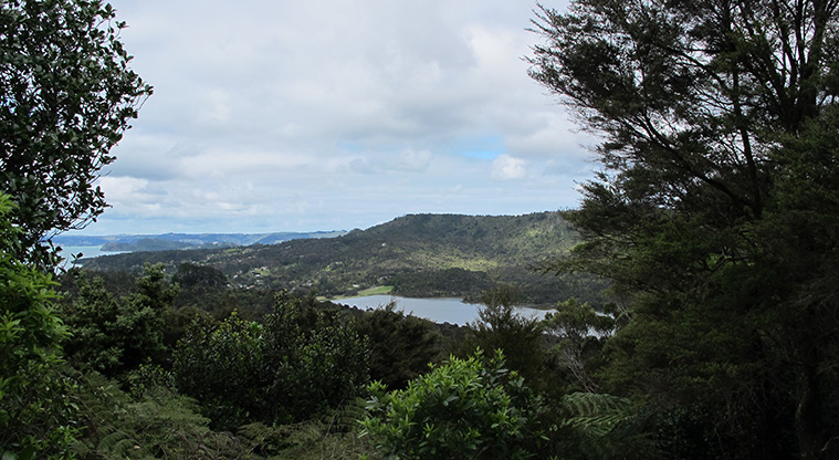 Exhibition Drive Track - Views over Lower Nihotupu Reservoir at the turn around point.