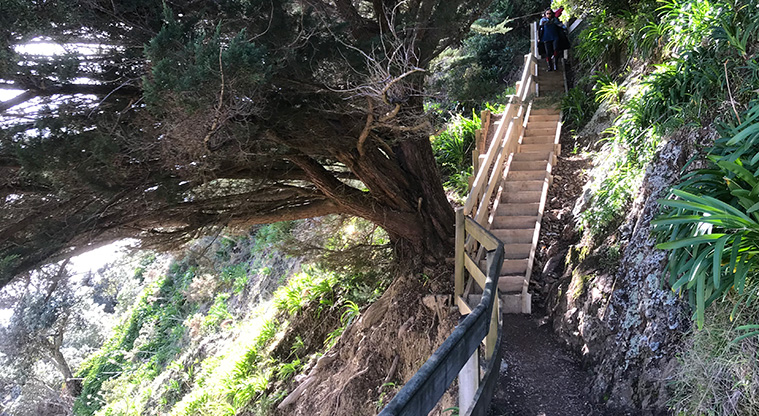 Fishermans Rock Path - A steep climb up some steps takes you up the cliffs. Don’t be discouraged, the views are worth the effort.