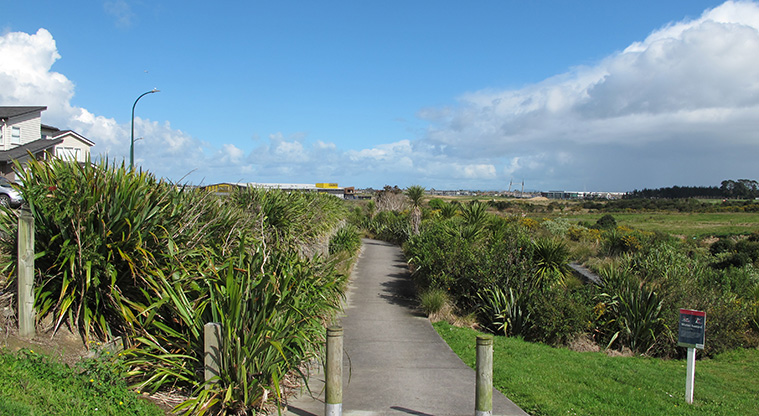 Flat Bush Path - Path section alongside the wetland area, Jerpoint Drive.