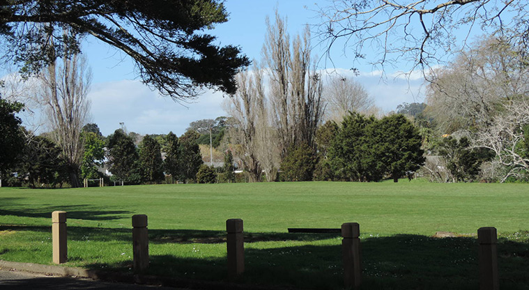Fowlds Park Path - View over the sports field