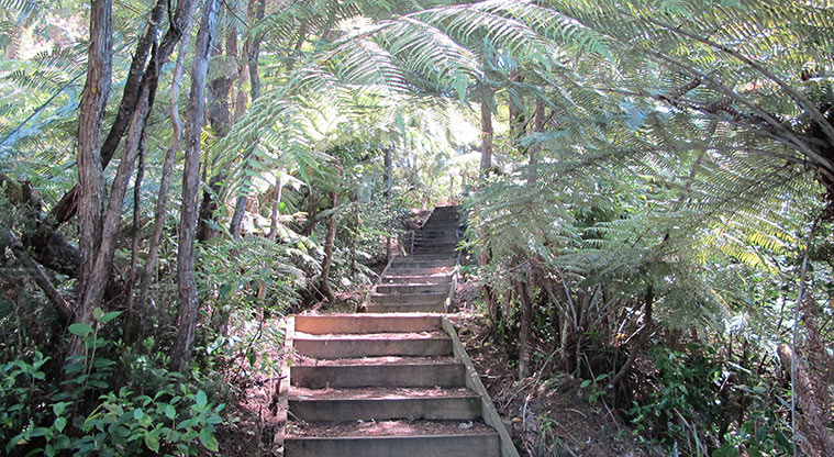 Gittos Domain Path - There are a number of flights of steps.