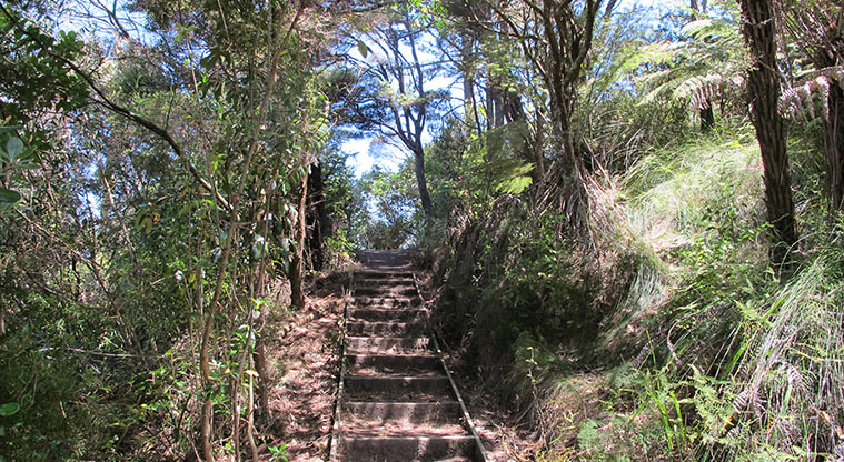 Gittos Domain Path - Steps cut into the track.