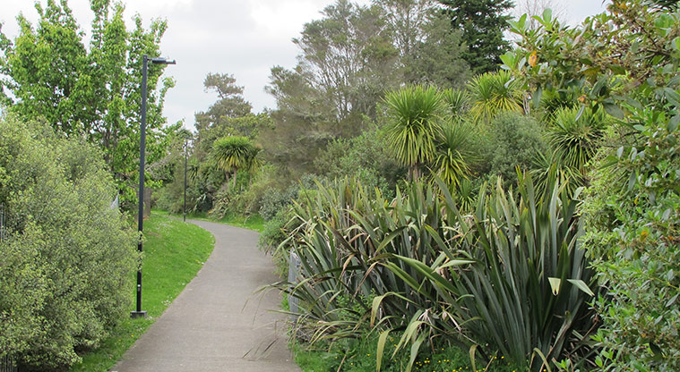 Te Ara Hono / Glen Eden to Kaurilands Path - Typical section of the path.