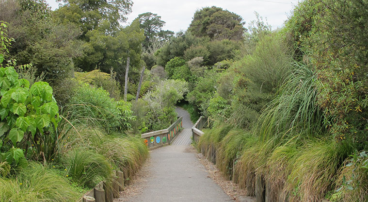 Te Ara Hono / Glen Eden to Kaurilands Path - Start of path through bush area.