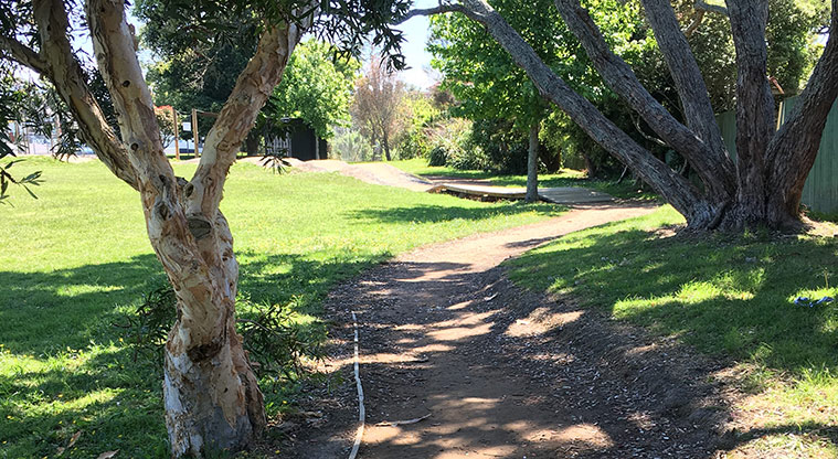 Glenavon School Path - Short section of track through trees