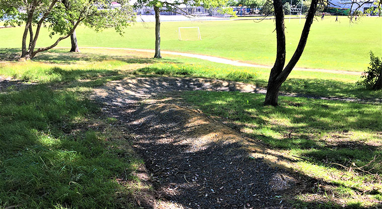 Glenavon School Path - Downhill section of short mountain bike track