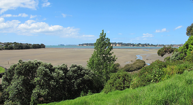 Glendowie Park to Tahuna Torea Path