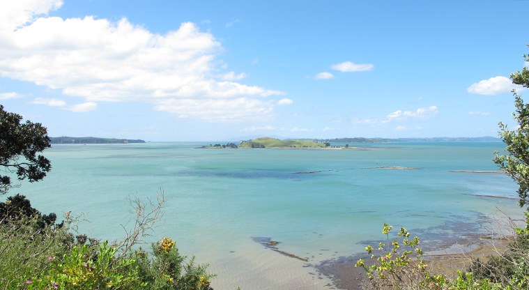 Glover Park Path - View over Motukorea (Browns Island).