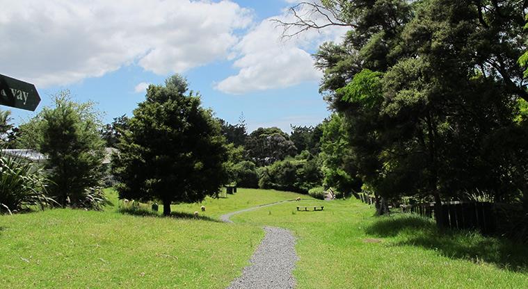 Greenhithe East Path - A short connection to Churchouse Road through sheep paddock and small pocket of bush