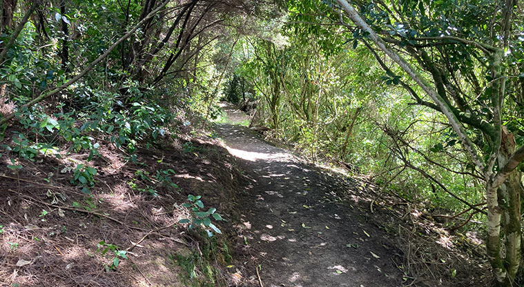Greenhithe to Wharf Path - The first section takes you through the bush.