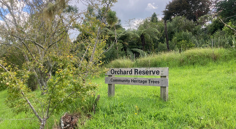 Greenhithe to Wharf Path – You will pass the community heritage trees at Orchard Reserve.