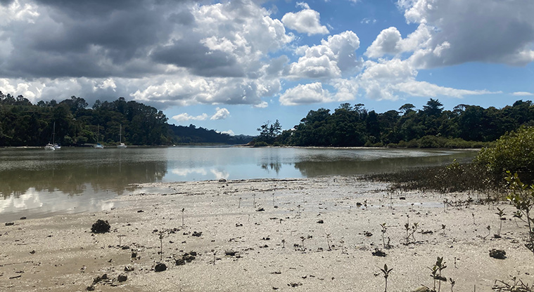 Greenhithe to Wharf Path - Near the wharf the views open up.