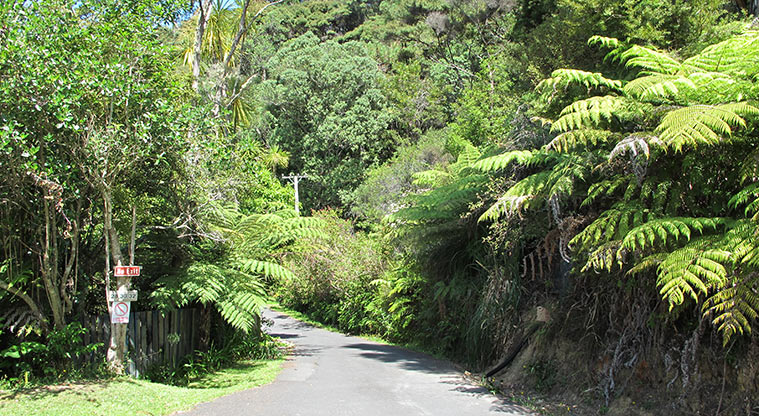 Greenhithe West Path - Look out for the access to Austin Road at the bottom of Remu Place.