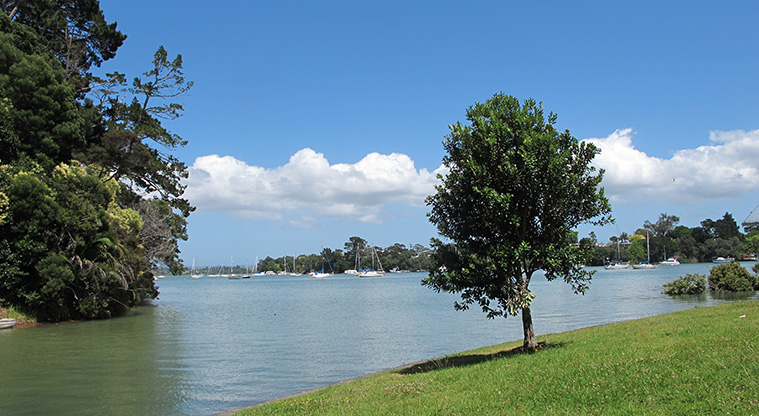 Greenhithe West Path - Secluded spot next to the Waitematā Harbour edge.