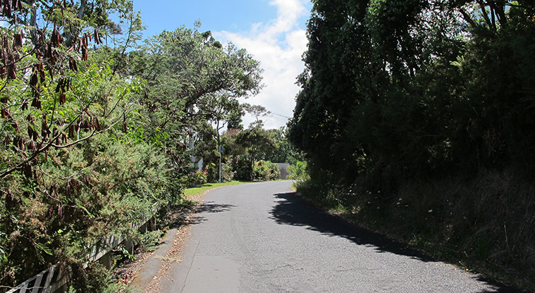Greenhithe West Path - Follow Rahui Road.