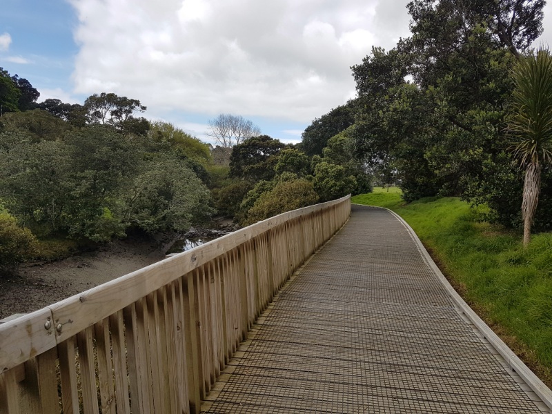 Grey Lynn to Pt Erin Path - Section of boardwalk through Cox's Bay Reserve.