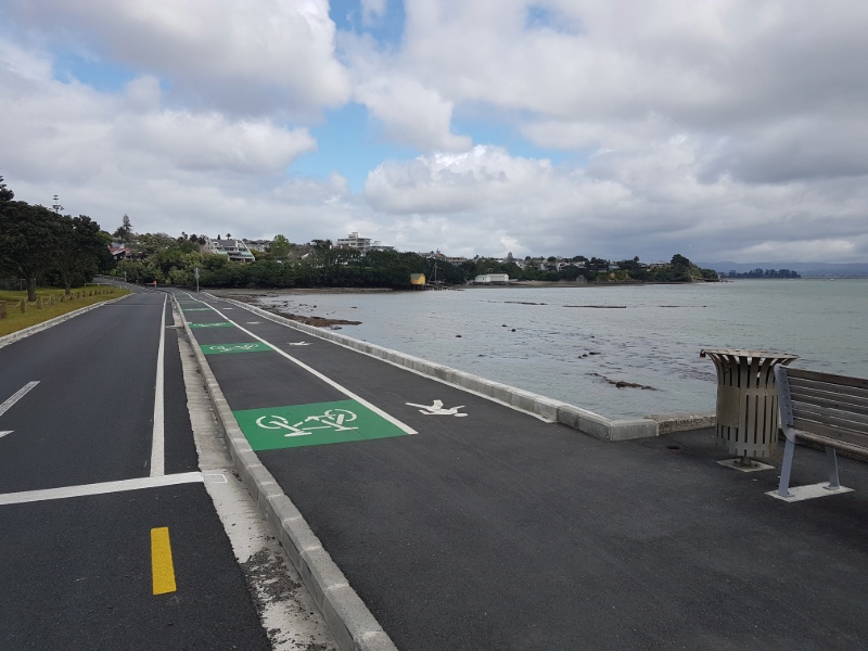Grey Lynn to Pt Erin Path - Path into Point Erin headland.