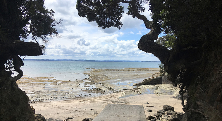 Gulf Harbour Coast to Coast Path