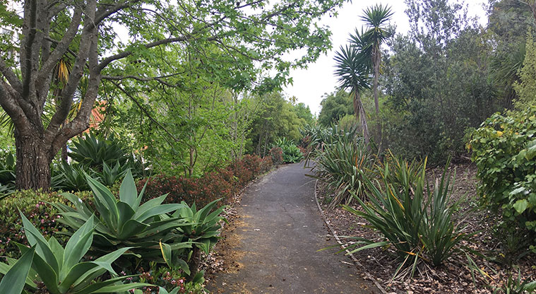 Gulf Harbour Marina Path - Follow the path
