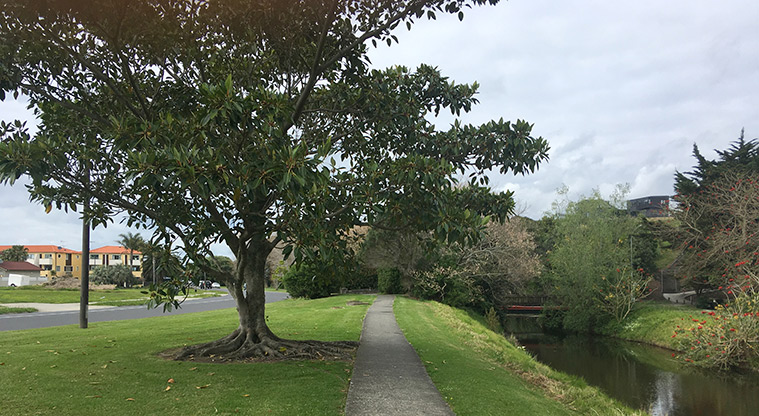 Gulf Harbour Marina Path - Footpath down Laurie Southwick Parade.
