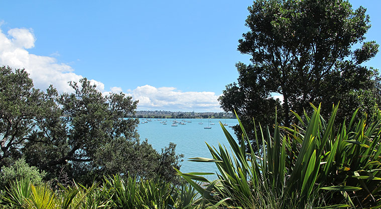 Half Moon Bay to Wakaaranga Creek Path – Elevated views over Tamaki Strait.