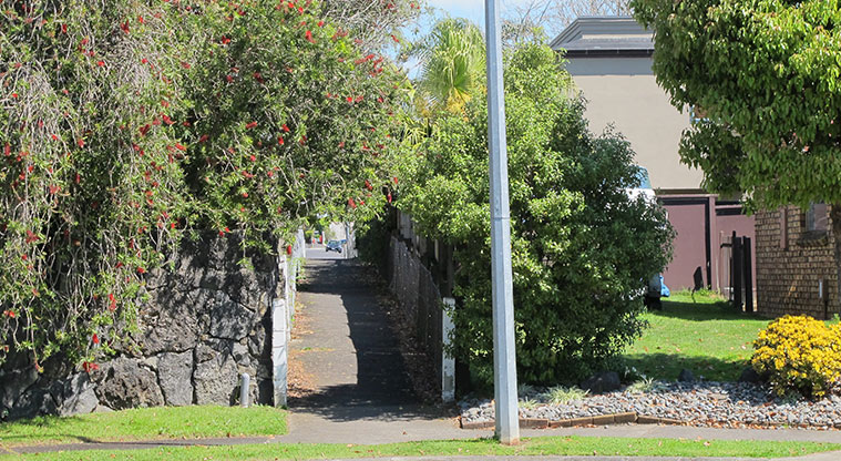 Half Moon Bay to Wakaaranga Creek Path – Connect through the Clyside Avenue access way.
