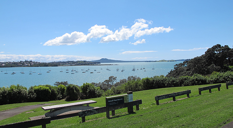Half Moon Bay to Wakaaranga Creek Path – Great views from Falstaff Reserve.