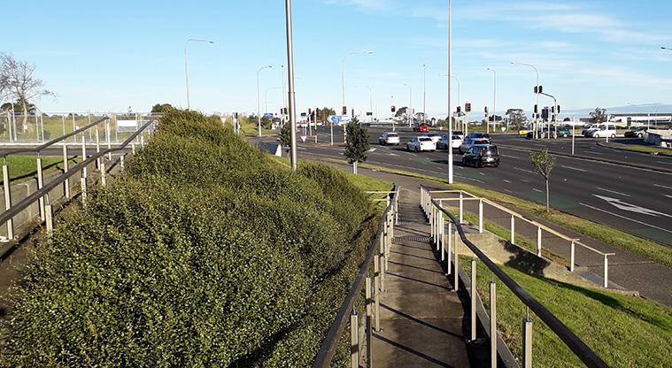 Hayman Park Path - Access ramp from Lambie Drive.