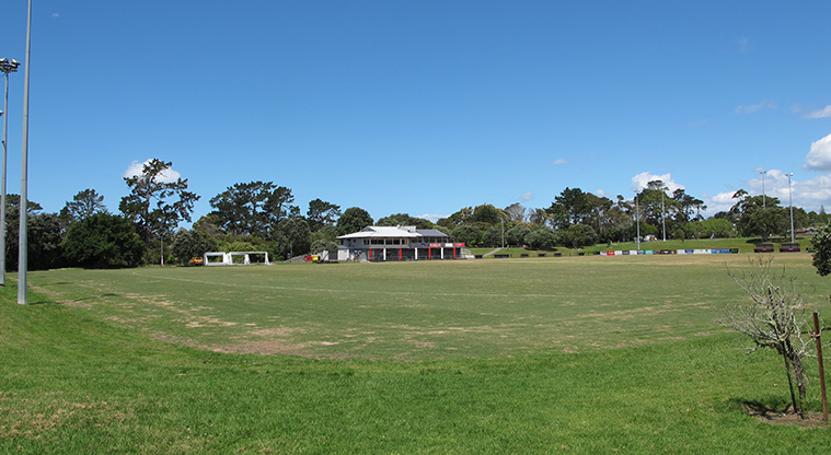 Hellyers Creek Path - Sports fields.