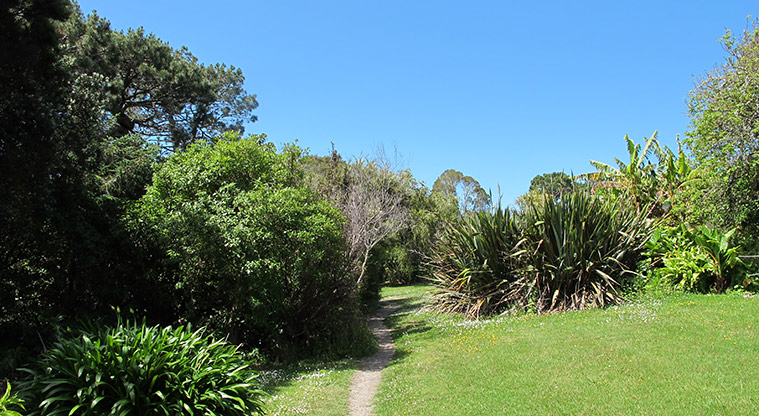 Hellyers Creek Path - Open area section of the path.