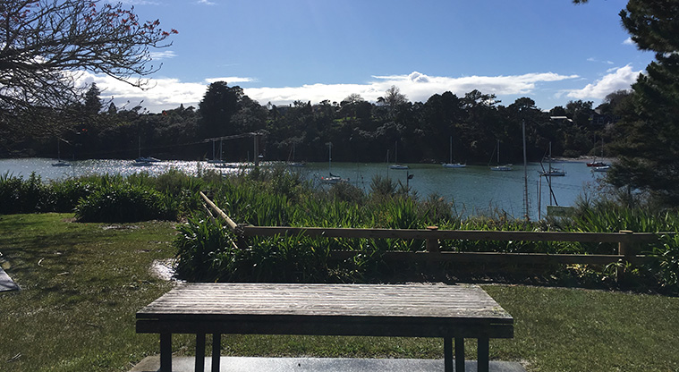 Herald Island Path - View from Pahiki Reserve over the boating club.