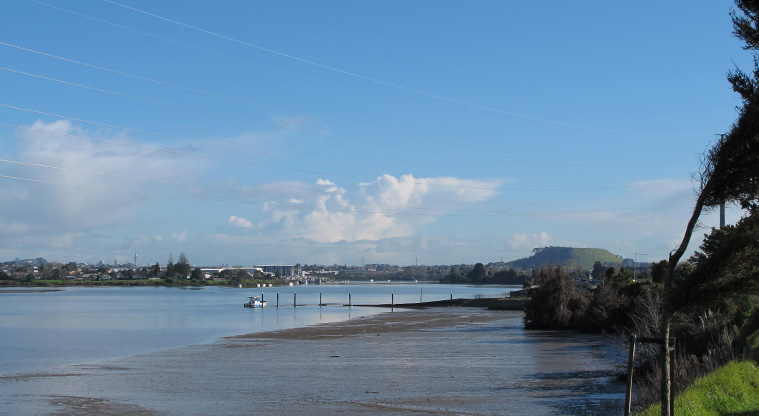 Highbrook Path - A view towards Maungarei (Mt. Wellington).
