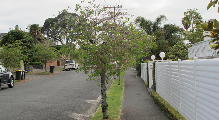 Hobson Bay West Path - Walk up Takutai Street.
