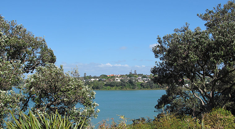 Hobson Bay West Path - Elevated views from Awatea Reserve.