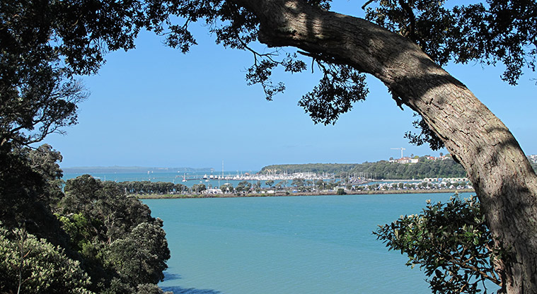 Hobson Bay West Path - Great views over Waitemata Harbour.