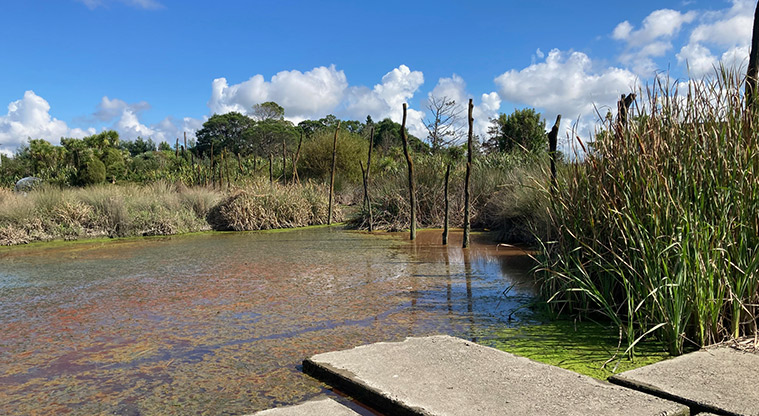 Hobsonville Point Path - Tiwatawata 2016, John Reynolds Auckland Council Art Collection