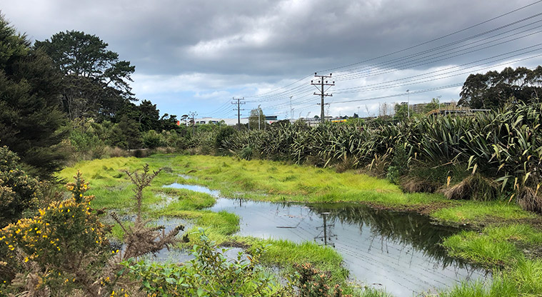 Hooton Reserve Path - Small wetland and pond adjacent to tennis centre.